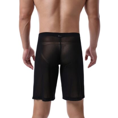 Men's Sheer Mesh Boxershorts - Image 2