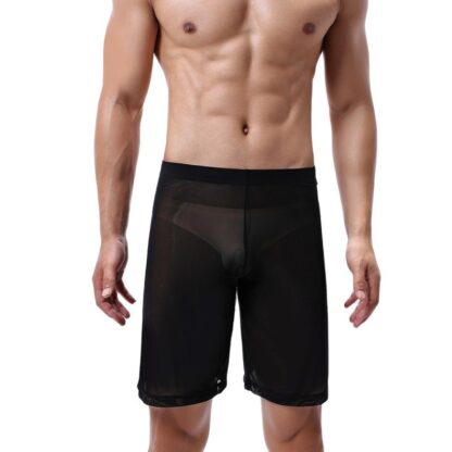 Men's Sheer Mesh Boxershorts - Image 3
