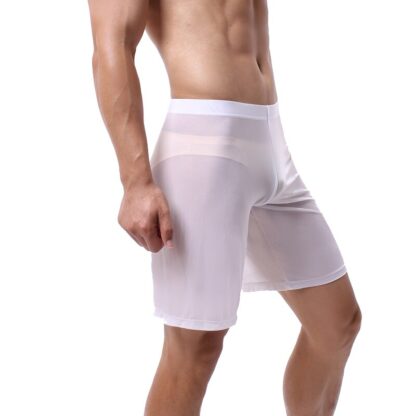 Men's Sheer Mesh Boxershorts - Image 5