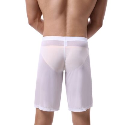 Men's Sheer Mesh Boxershorts - Image 6