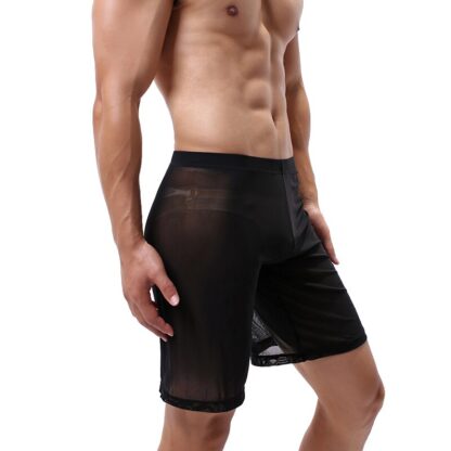 Men's Sheer Mesh Boxershorts