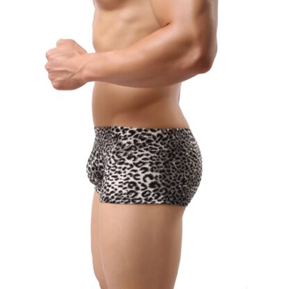Leopard Print Men's Boxers - Image 4
