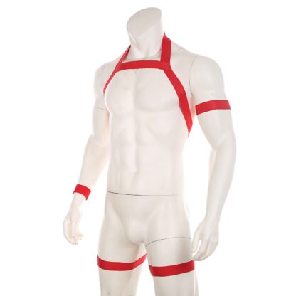 Sensual Harness - Image 5