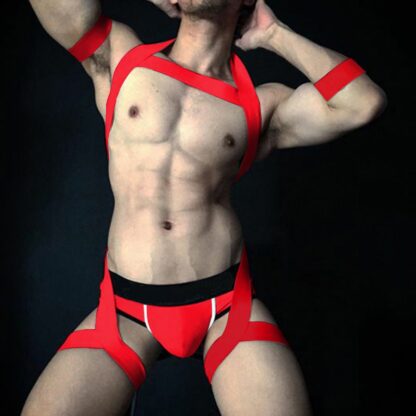 Sensual Harness