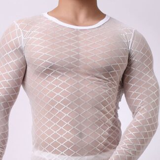 Seductive Sheer Sleep Shirt