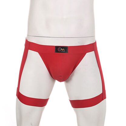 Elastic Briefs with Leg Straps - Image 2