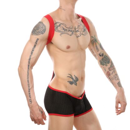 Wrestler's Delight Lingerie - Image 2