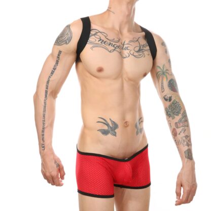 Wrestler's Delight Lingerie - Image 7