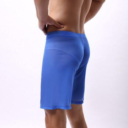 Men's Sheer Mesh Boxershorts - Image 11