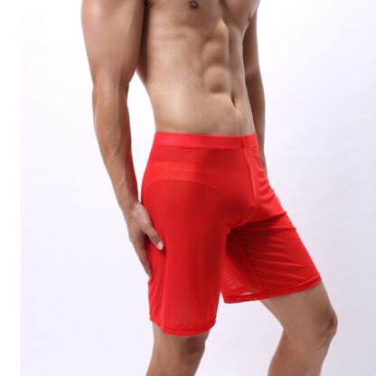 Men's Sheer Mesh Boxershorts - Image 7