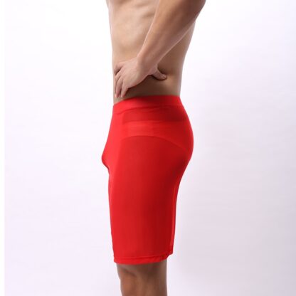Men's Sheer Mesh Boxershorts - Image 8