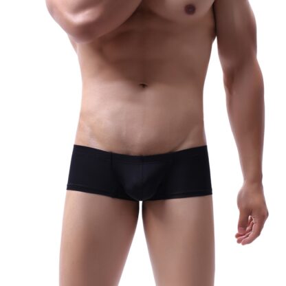 Trunk Pouch Panties - Image 4