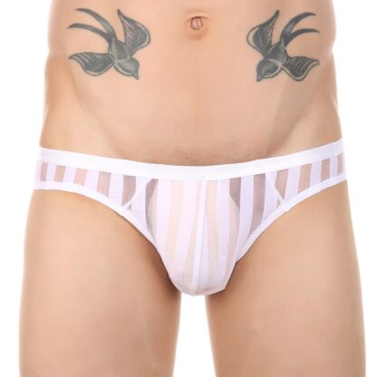 Ultra-Thin Mesh Briefs for Men - Image 4