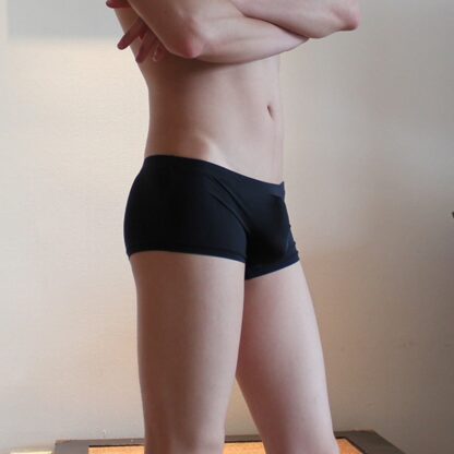 Translucent Trunks - Image 5