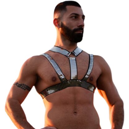 Fancy Silver Harness - Image 3