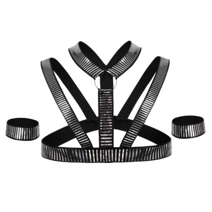Fancy Silver Harness - Image 4