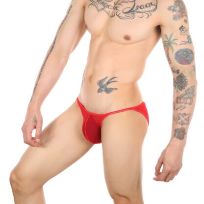 Ultra-Thin Low Waist Underwear - Image 3