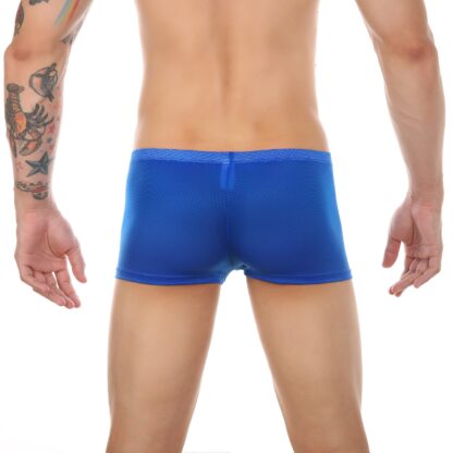 Open Crotch Mesh Boxers - Image 2