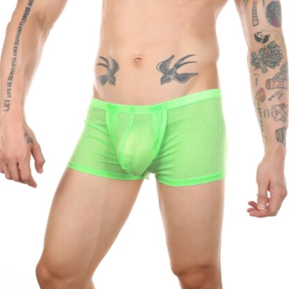 Open Crotch Mesh Boxers - Image 5