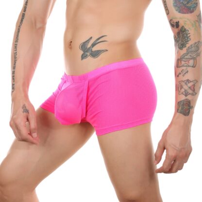 Open Crotch Mesh Boxers - Image 4