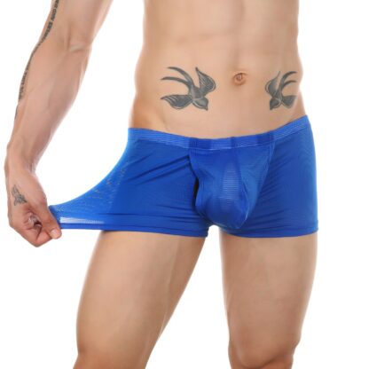 Open Crotch Mesh Boxers