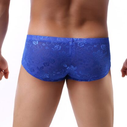 Sheer Lace Mini Boxer Briefs - Image 2