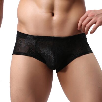 Sheer Lace Mini Boxer Briefs - Image 4
