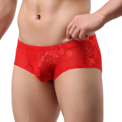 Sheer Lace Mini Boxer Briefs - Image 3