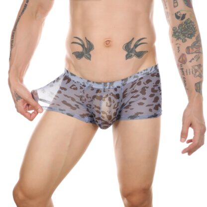 Leopard Transparent Panties - Image 3