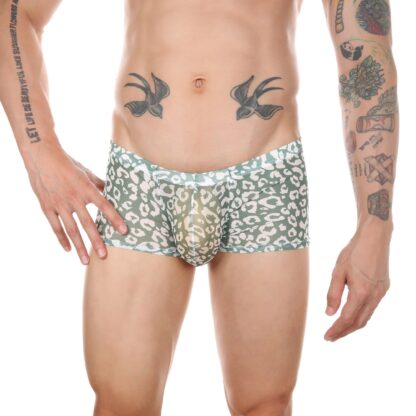 Leopard Transparent Panties - Image 4