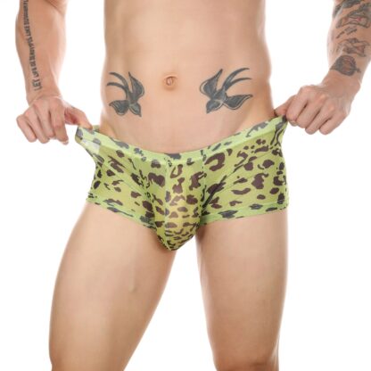 Leopard Transparent Panties - Image 5