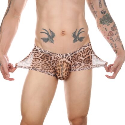 Leopard Transparent Panties