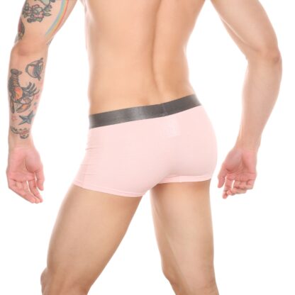 Head Access Trunk - Image 2