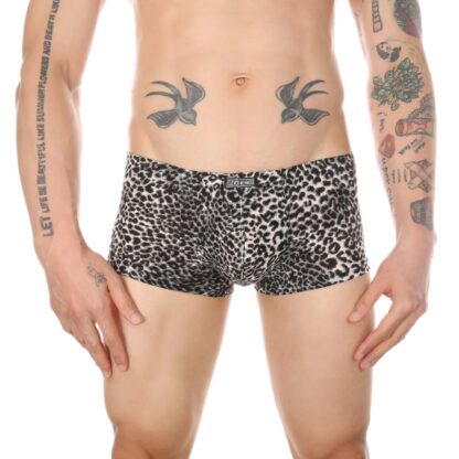 Sexy Leopard Boxer Briefs - Image 3
