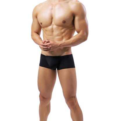 Thin Boxer Briefs for Men - Image 3