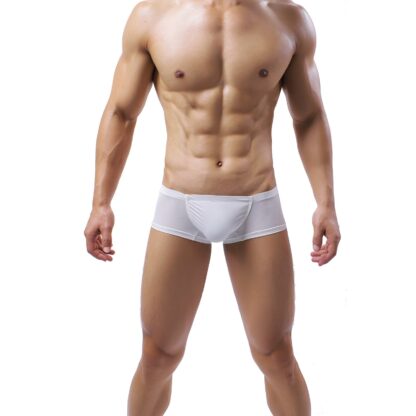 Thin Boxer Briefs for Men