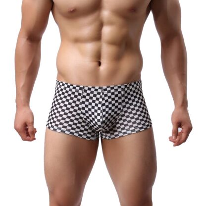 Checker Trunks - Image 2