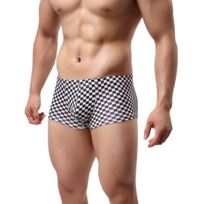 Checker Trunks - Image 4