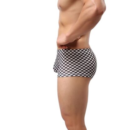 Checker Trunks - Image 5