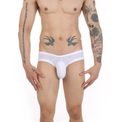 Open Butt Panties - Image 3