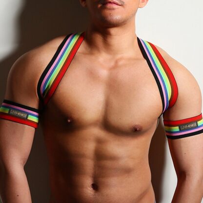 Elastic Shoulder Harness