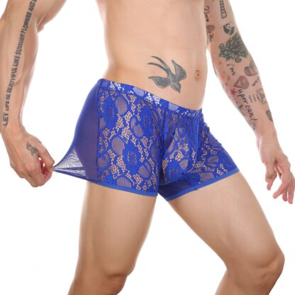 See-Through Lace Boxer Briefs - Image 4
