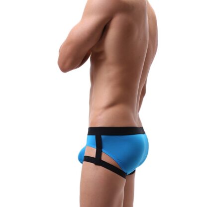 Harness Panties - Image 3