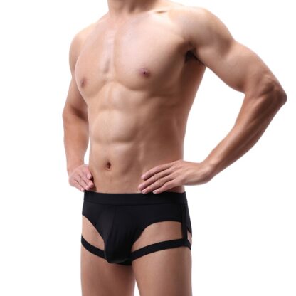 Harness Panties