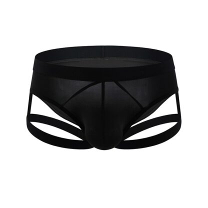 Harness Panties - Image 5