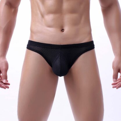 Low-Rise Mesh Fishnet Briefs - Image 2