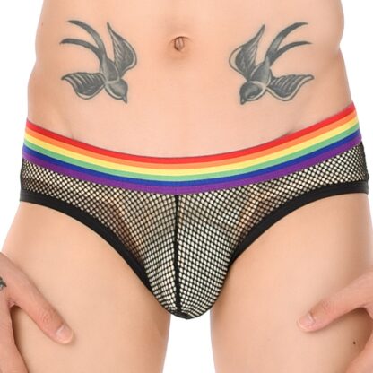 Mesh Comfy Panties - Image 2