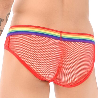 Mesh Comfy Panties - Image 5