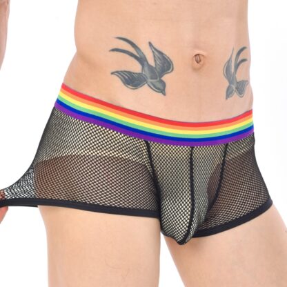 See-Through Mesh Boxers - Image 3