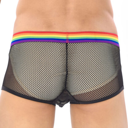 See-Through Mesh Boxers - Image 4